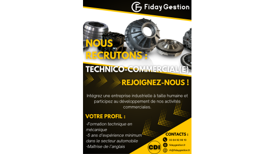 TECHNICO COMMERCIAL(E)